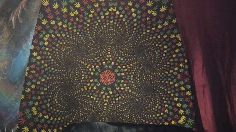 Ladyluvxo's Streamate show and profile