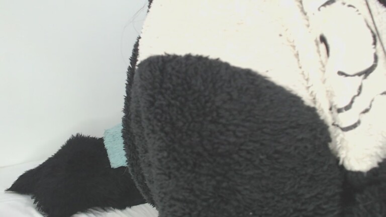 EmilyConoor's Streamate show and profile